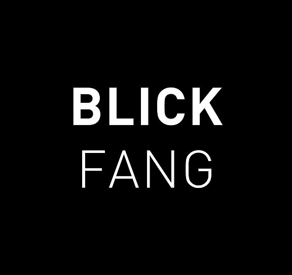 blickfang1.jpg 